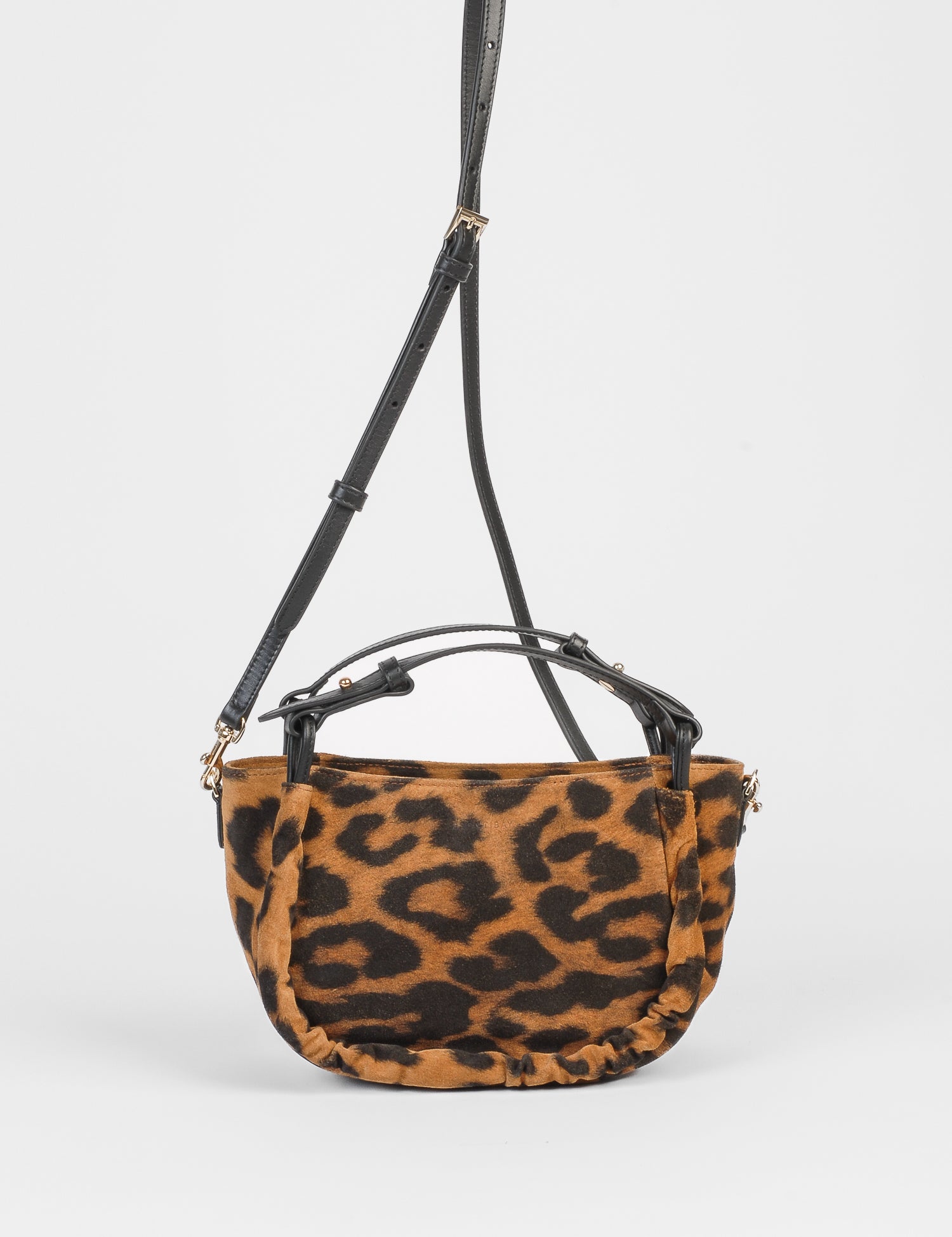 Calliope_daim_leopard-4.jpg