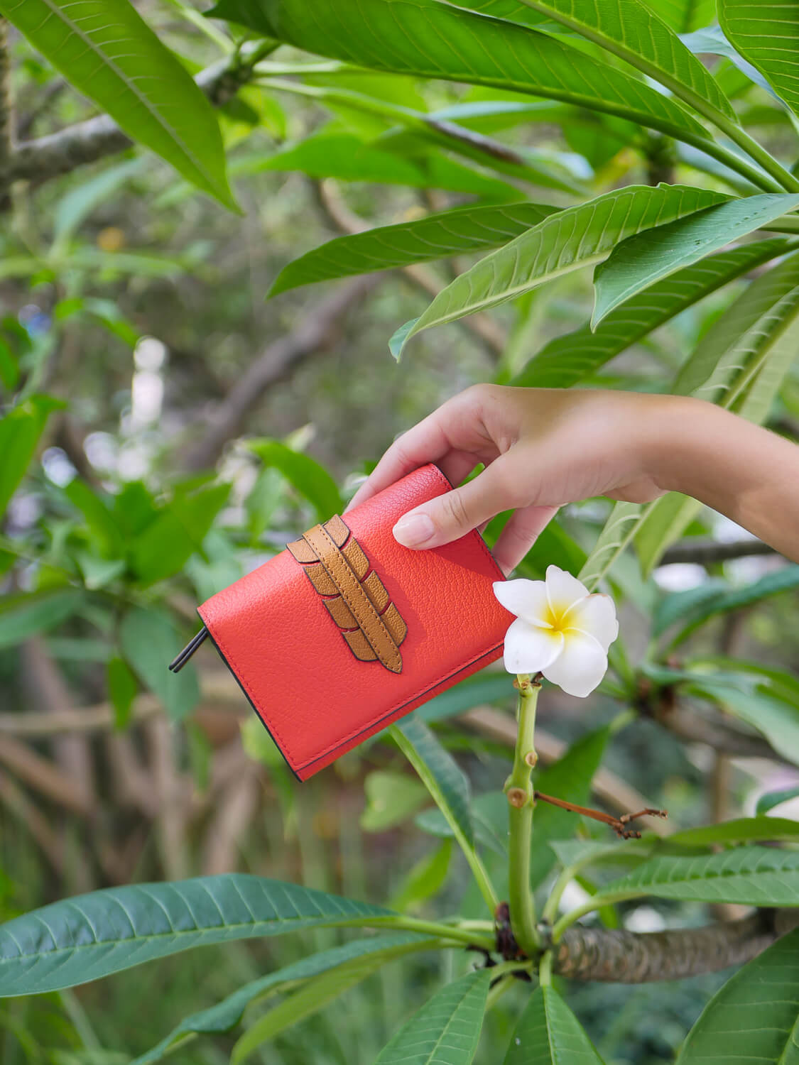 Rayen cuir dutch - Papaya