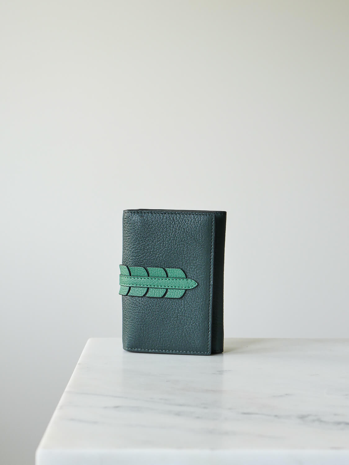Rayen Dutch leather - Duck