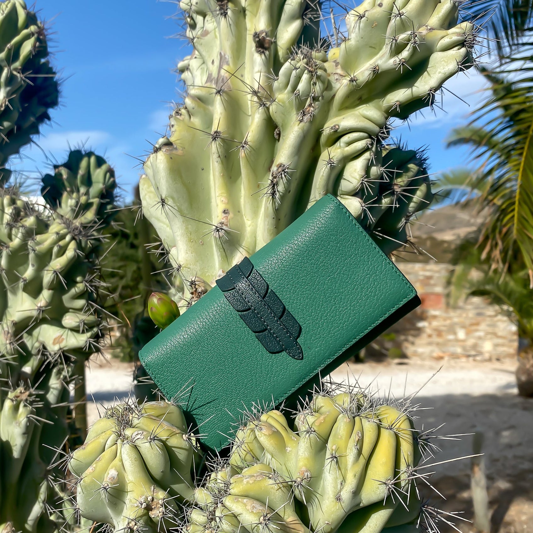 Atina_green_tea_in_cactus-1.jpg