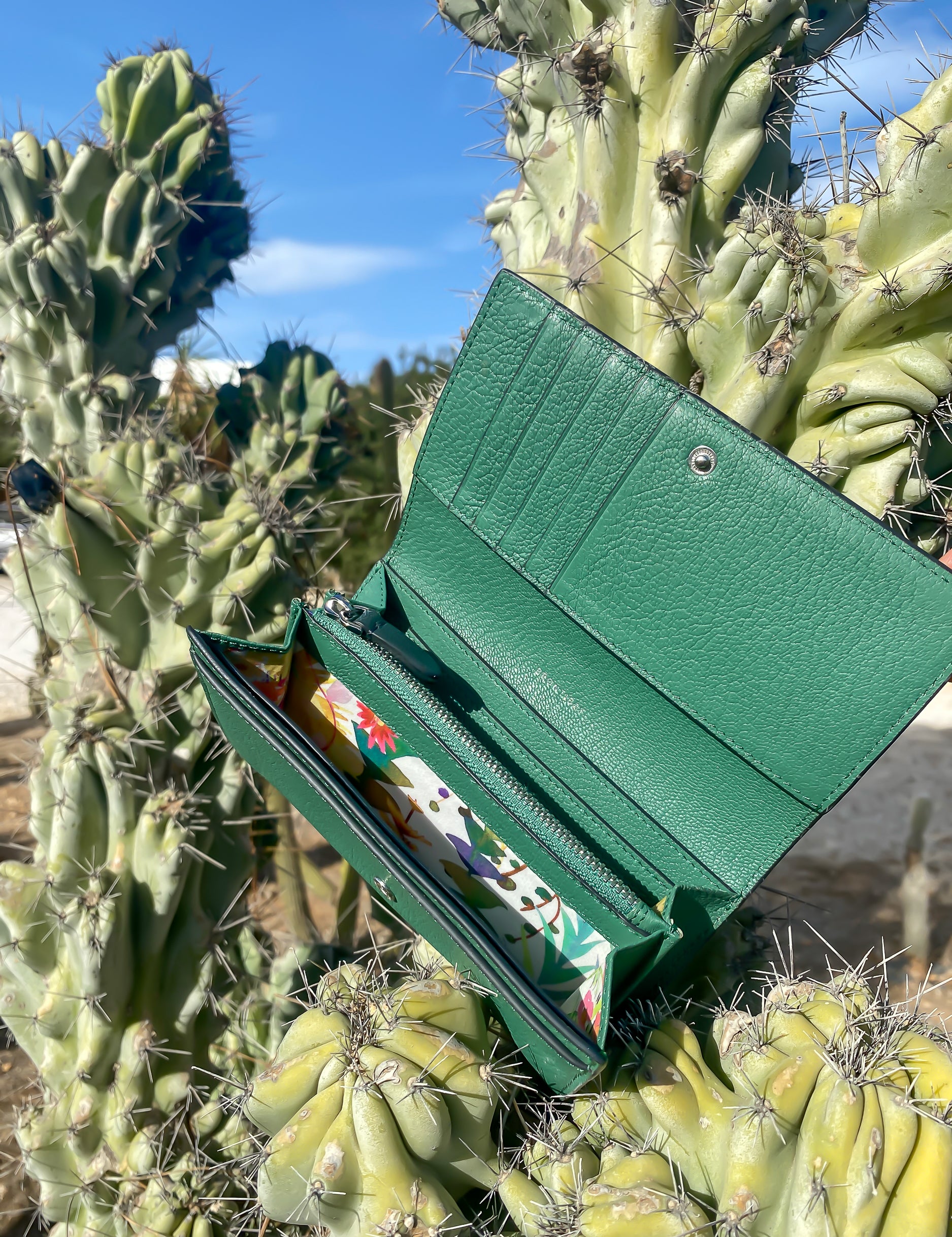Atina_green_tea_in_cactus-2.jpg