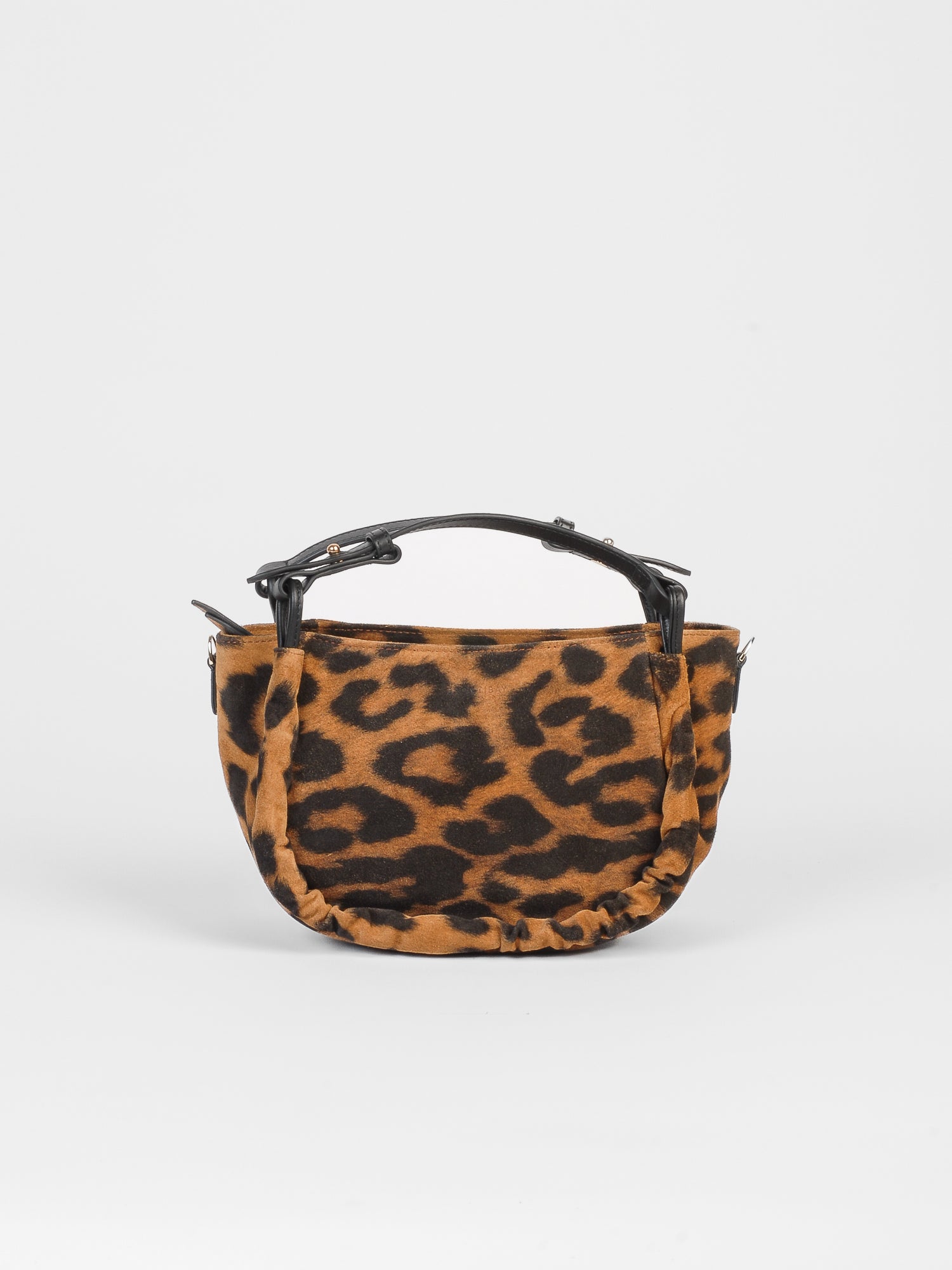 Calliope daim - Leopard