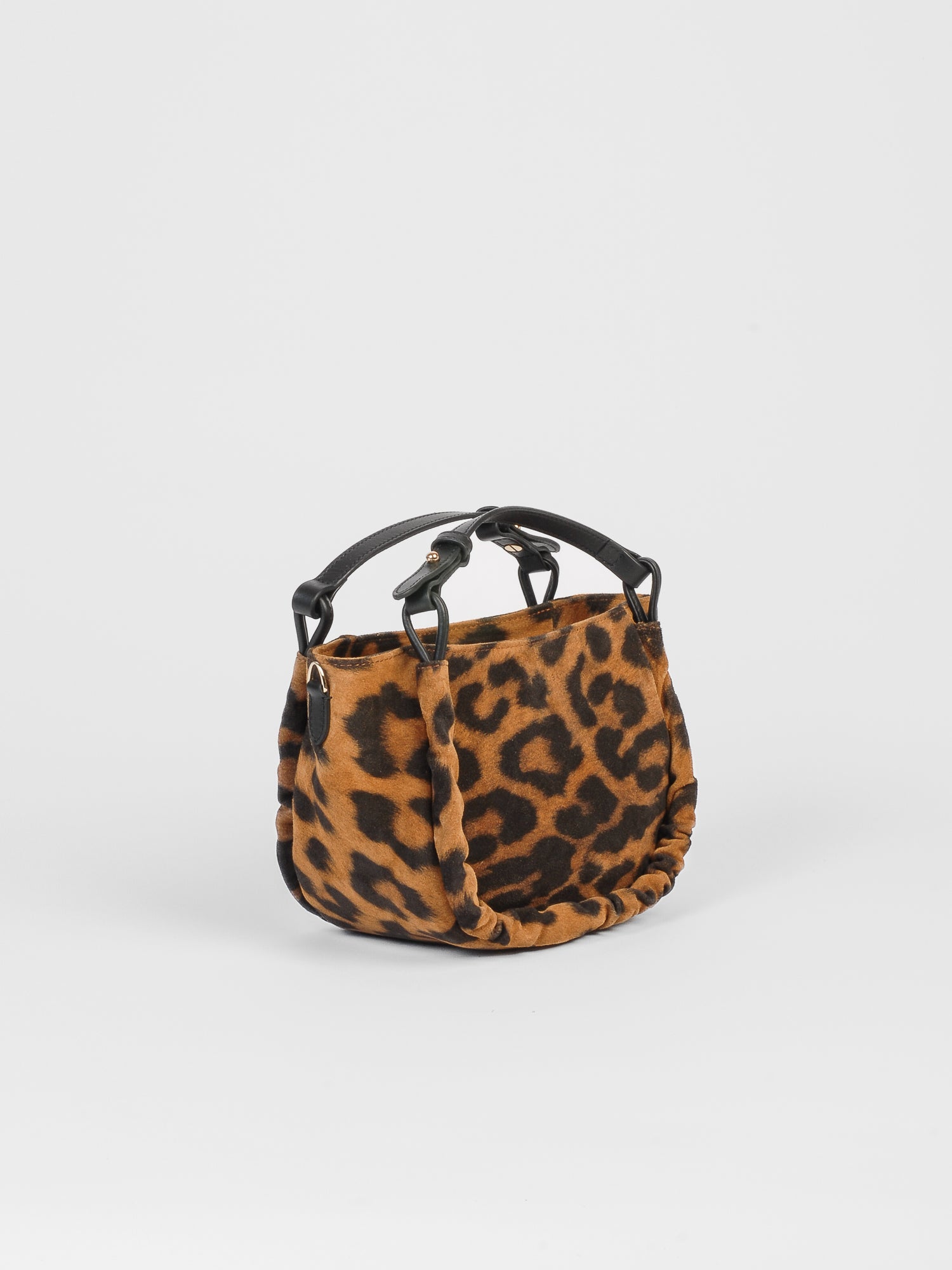 Calliope daim - Leopard