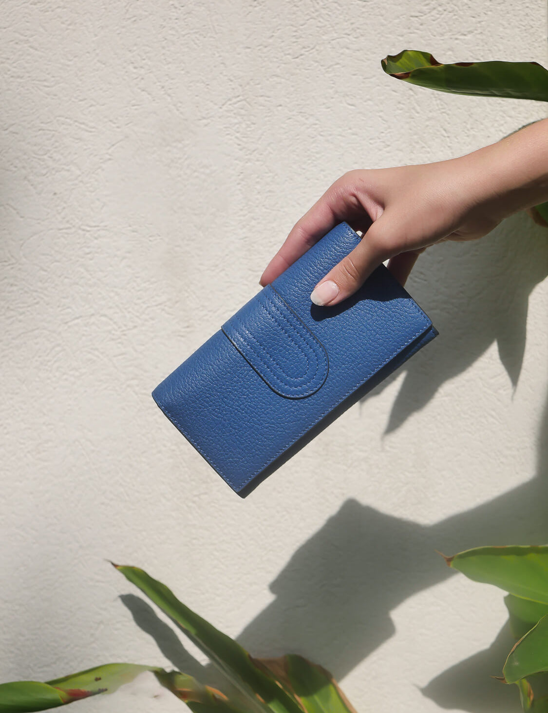 Ciaradutchyaleblue-1-4.jpg
