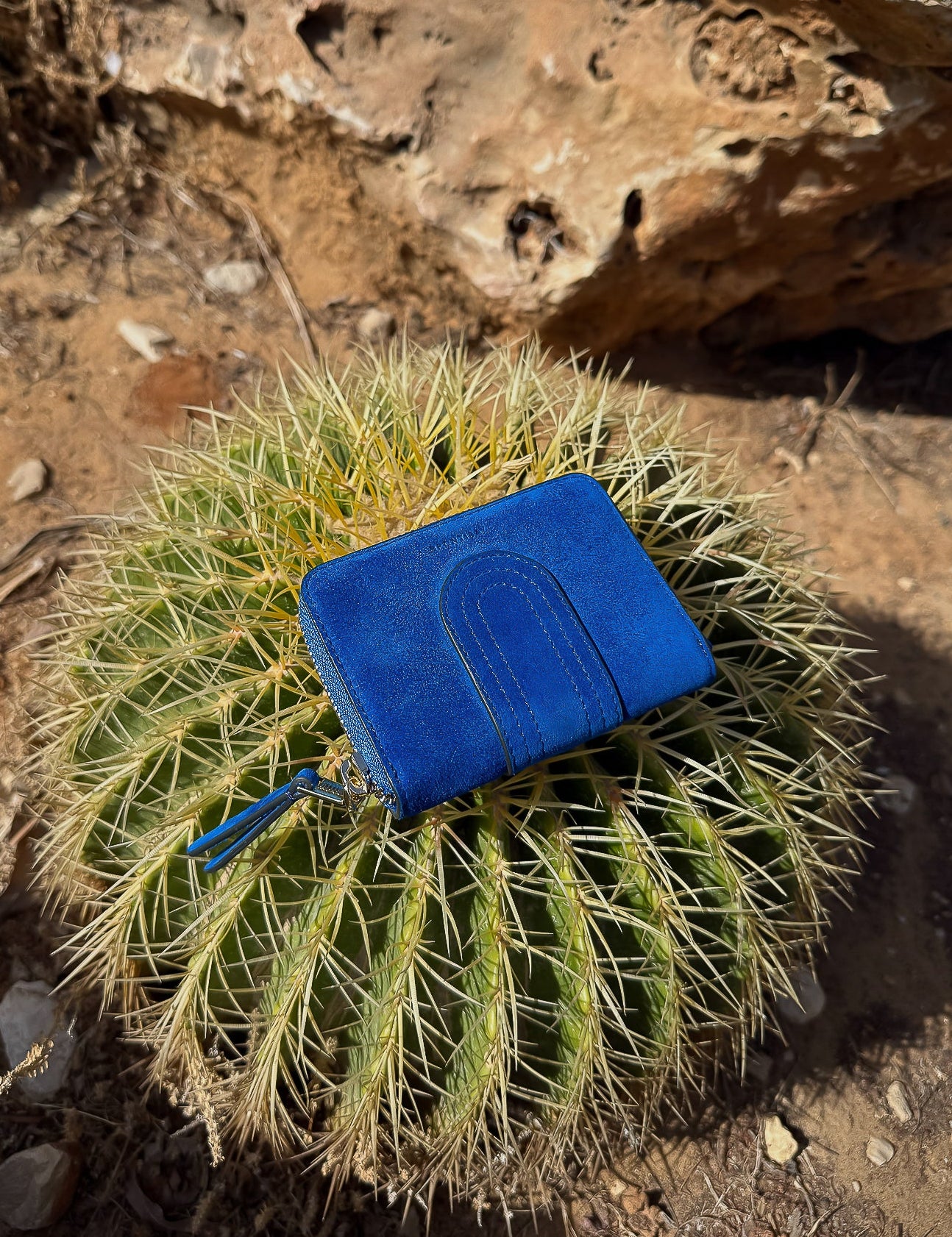 lyra_daim_blue_on_cactus-1.jpg